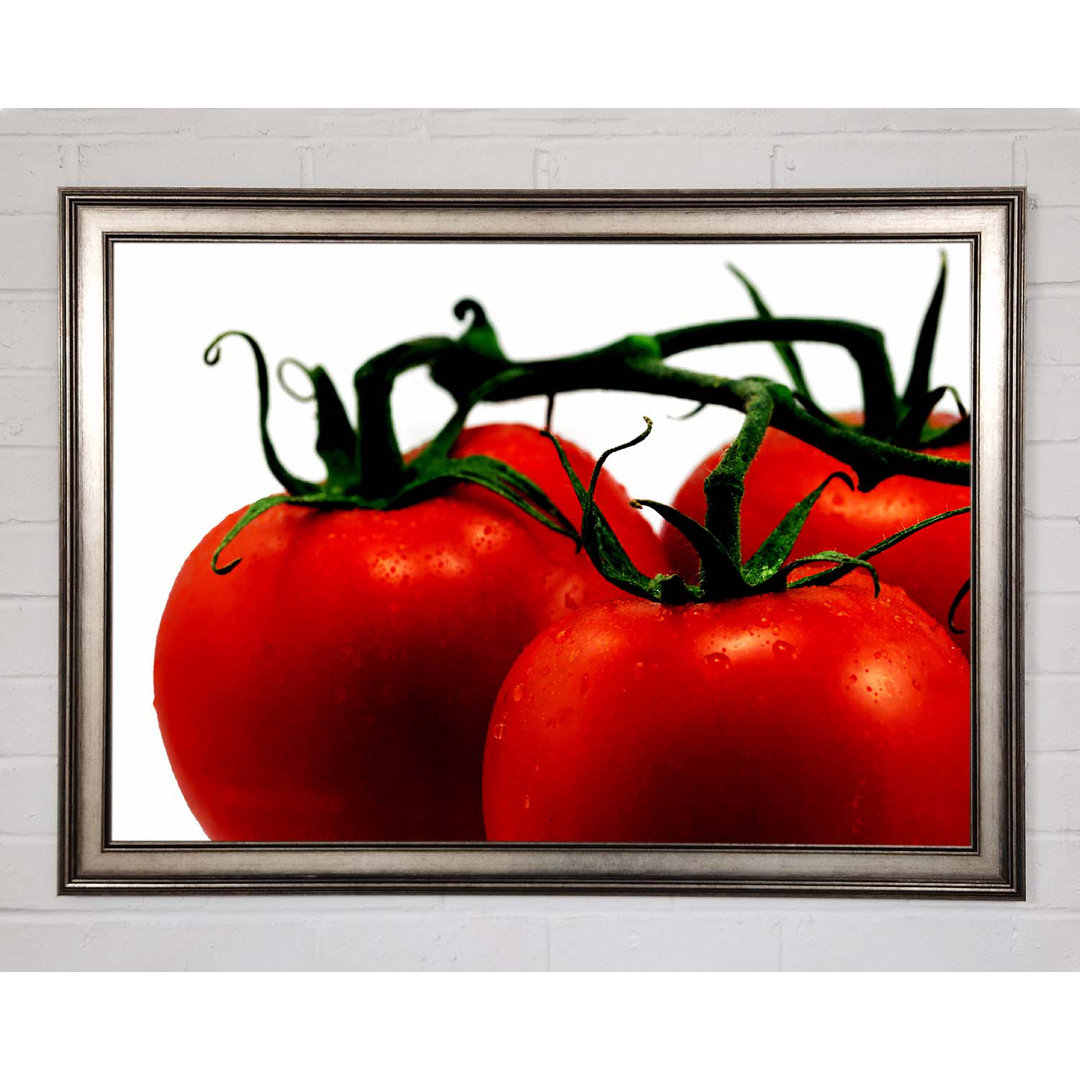 Gerahmter Kunstdruck Tomato Trio