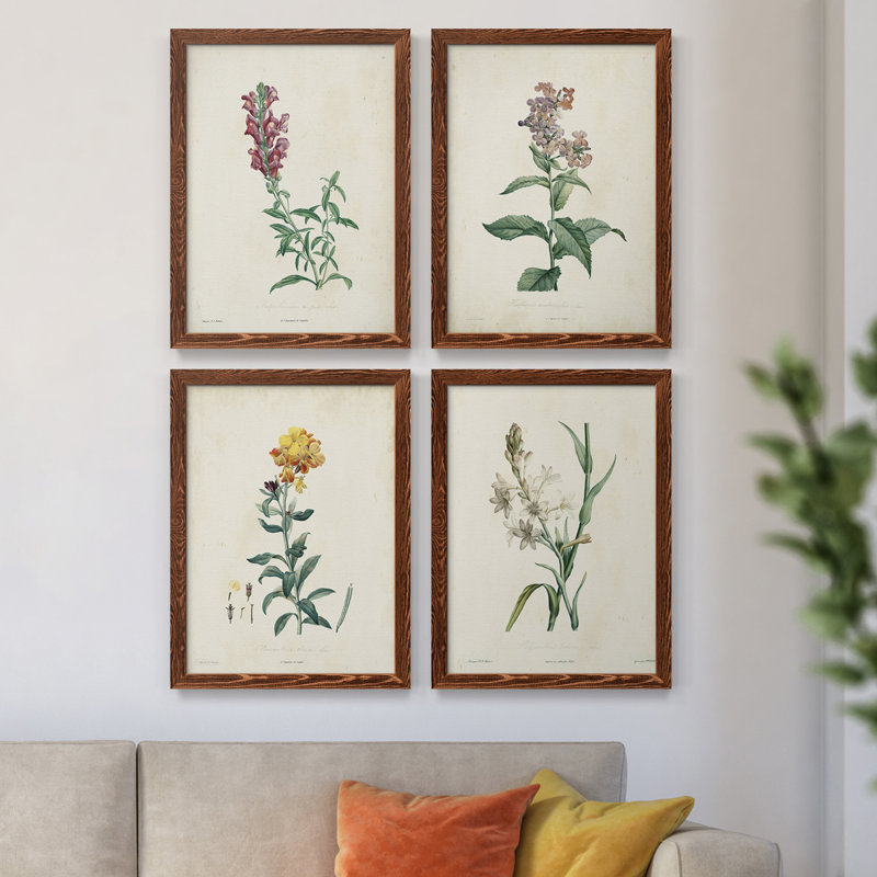 Traditional Botanical I - Ensemble de 4 reproductions de cadres photo sur toile, H 20 po x l 68 po x P 1,5 po, Érable