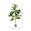 Arbre à violon artificiel en pot