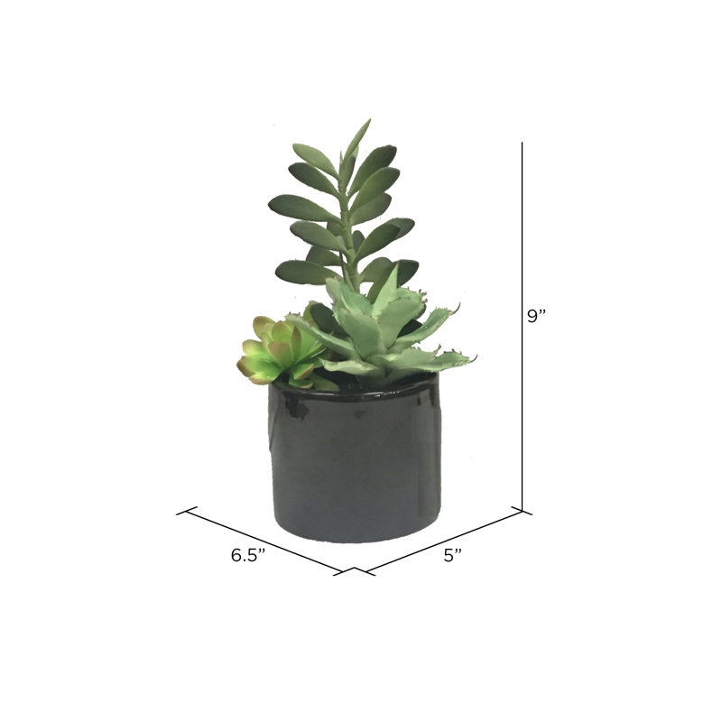 9'' Faux Succulent in Cement Pot