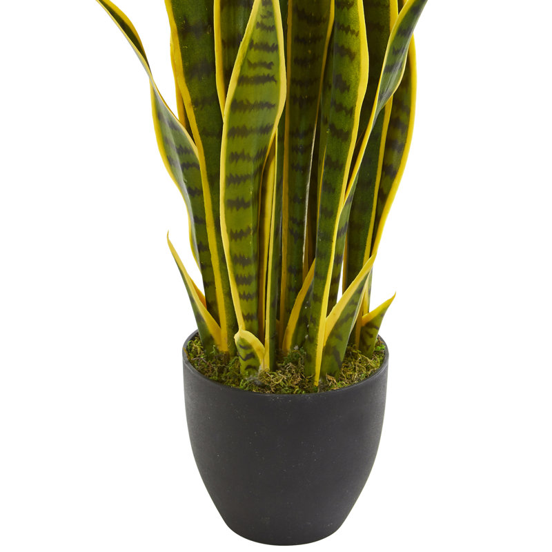 Bleecker, plante serpent artificielle en pot, H 33 po x l 8 po x P 8 po, Vert / Jaune