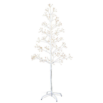 Bouleau illuminé avec branches et branches