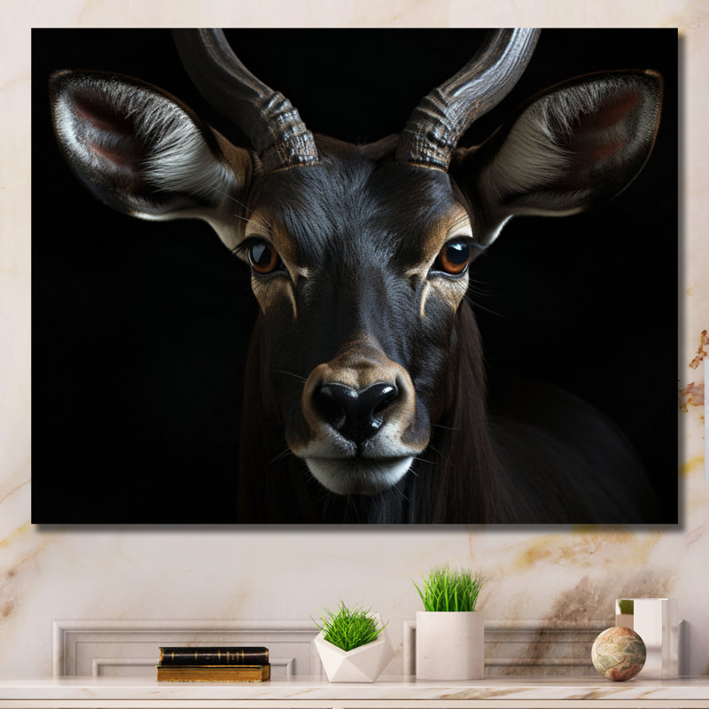 Keillan Antelope Portrait II, reproduction d'art sur toile, H 12 po x l 20 po x P 1 po, Toile tendue