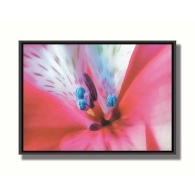 Sensuosity by Hal Halli. Giclee Gallery