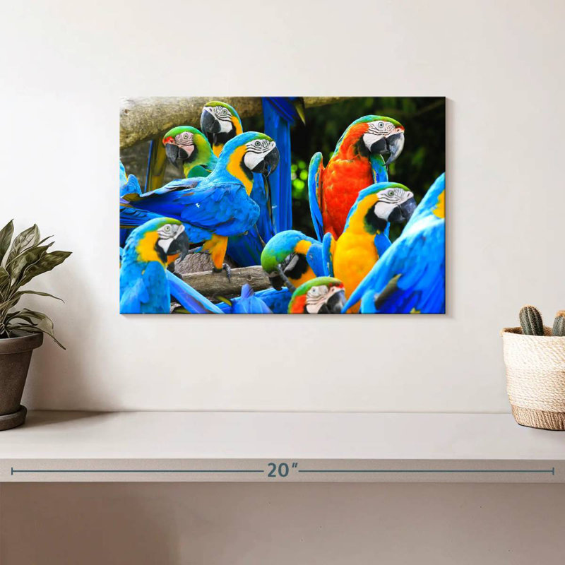 Brampt Flock Of Macaws, 8" H x 12" W