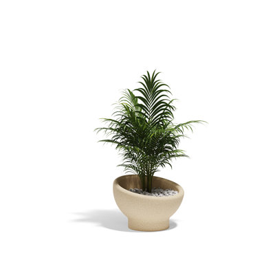 Luna Planter