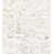 White Birch