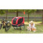 Collapsible Pet Carrier-983548233-983548245