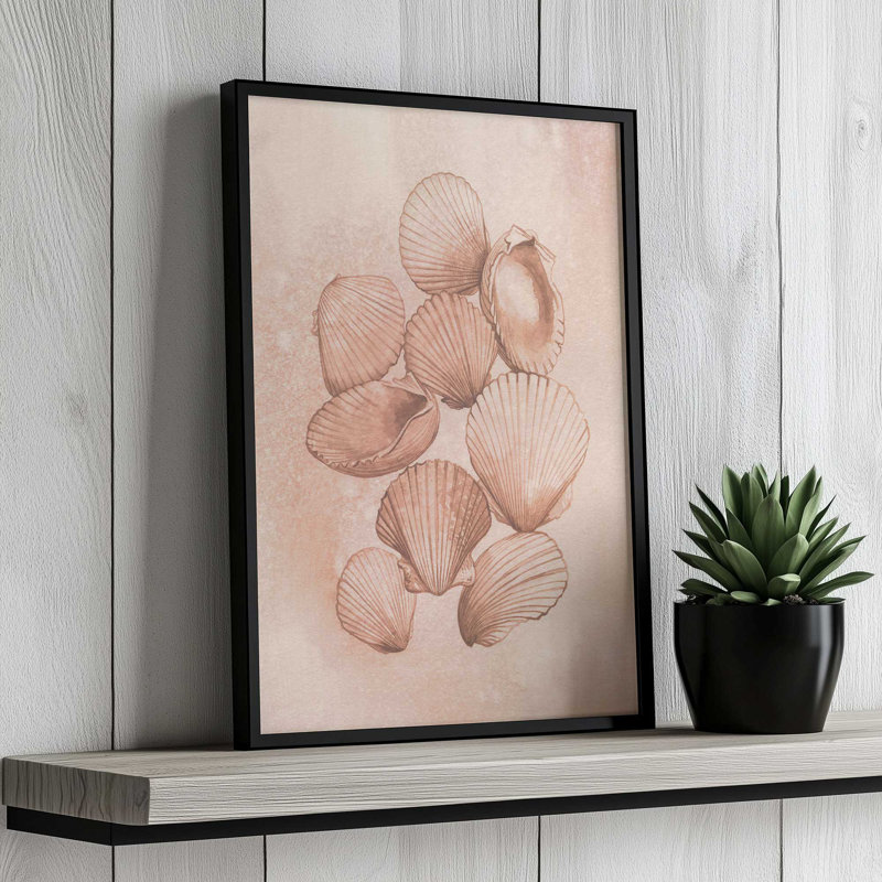 «Saltwater Shell Study II» par Grace Popp, reproduction d'art, H 30 po x l 20 po, Tanné