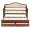 Lit de jour simple capitonné avec couchette-1725102157