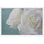 Judy Stalus - Single Picture Frame Print-20708732