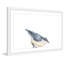 NUTHATCH Bird II par Thimble Sparrow-reproduction d’art sur papier encadrée-1525485252