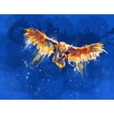 Night Owl, Bird Illustration Print by Flo Meylan