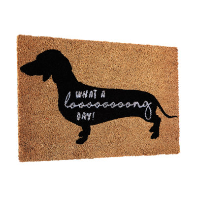 Surekha W40 x L60 cm Non-Slip Doormat