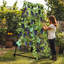A-Frame Garden Trellis Iron Climbing Plants Green Bean Grow Support Support avec filet en nylon