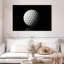 Balle de golf Senne-108731490
