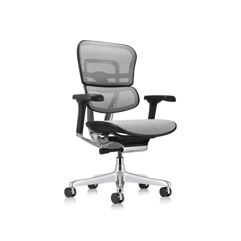 Ergohuman Task Chair, Gray - Generation 2
