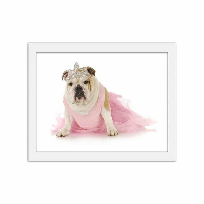 Gerahmter Fotodruck Dog Princess