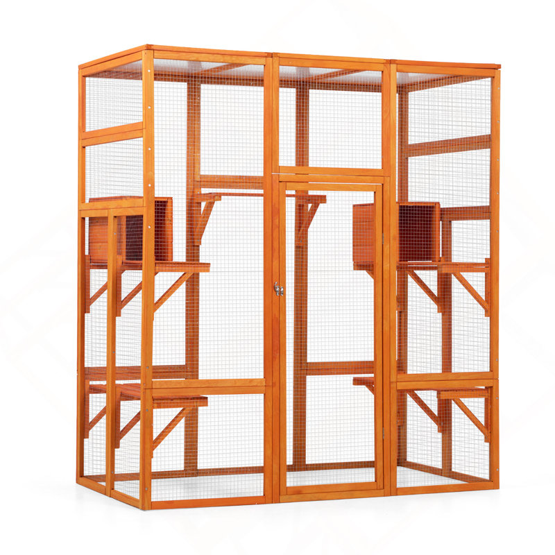 Grande enceinte pour chat avec 5 perchoirs, 2 condos et 1 porte verrouillable, orange