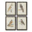 Toile encadrée de qualité supérieure Barn Owl - prête à être accrochée-472606015-472605959