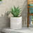 Mgo Planter-1525682595