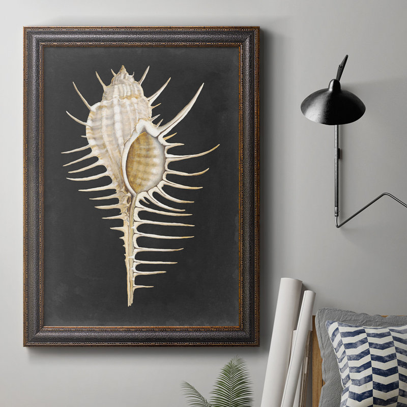 Toile graphique encadrée haut de gamme Murex, H 20 po x l 16 po x P 1 po, Cadre en cuir noir
