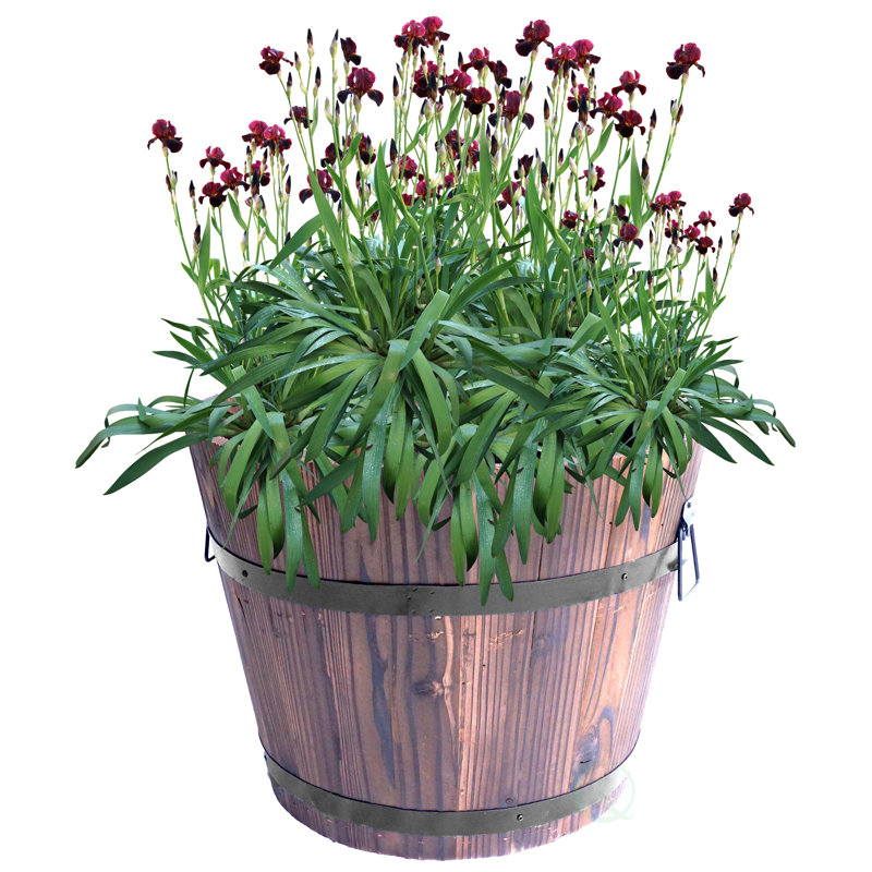 Eugenia Handmade Wood Barrel Planter, 10" H x 12" W x 12" D