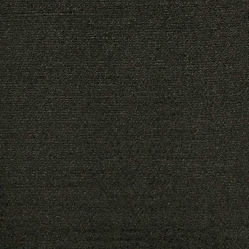 Majestic-Queen Shany Cotton Plain Velvet Fabric, Espresso