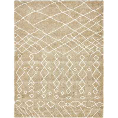 Southwestern Shag Area Rug