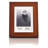 Estabanez Brown Solid Wood Single Picture Frame