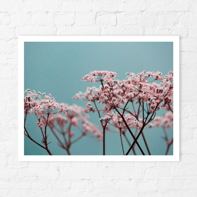 Pinky - No Frame Print