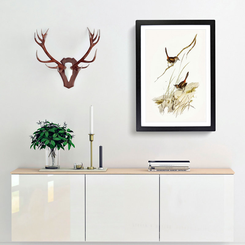Cautious Wren by Elizabeth Gould - Picture Frame Graphic Art Print, 36cm H x 27cm W x 2cm D, Black Framed