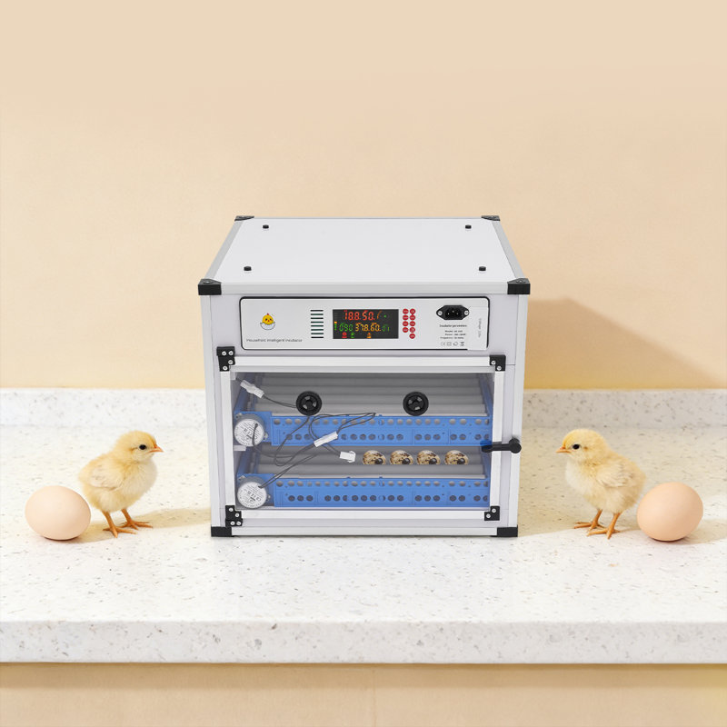 Egg Incubator