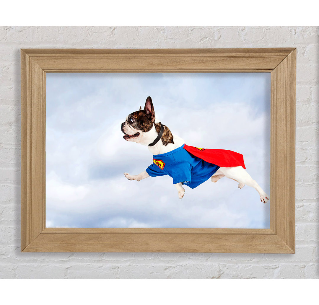 Super Dog Skies - Einzelner Bilderrahmen Kunstdrucke