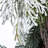 Pre Lit Led Snowy Mixed Pine Wreath With Pinecones
