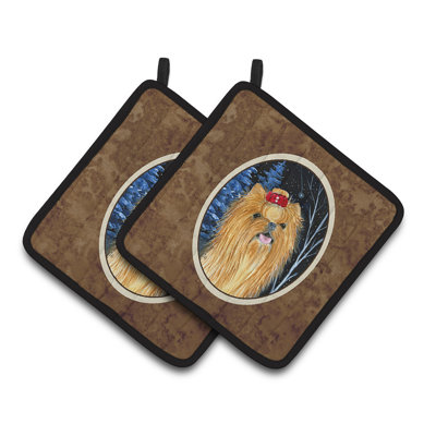 Red Barrel Studio® Bernadeta Polyester Potholder