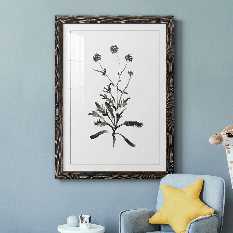 Inky Botanical I - peinture encadrée, H 37,5 po x l 27,5 po x P 1,5 po, Cadre noir