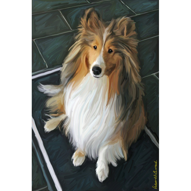 Sheltie Bred To Bark by Robert McClintock - Wrapped Canvas Painting, 46cm H x 30cm W