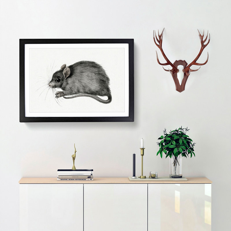 A Mouse by Jean Bernard - Framed Print, 45cm H x 63cm W x 2cm D, Black Framed