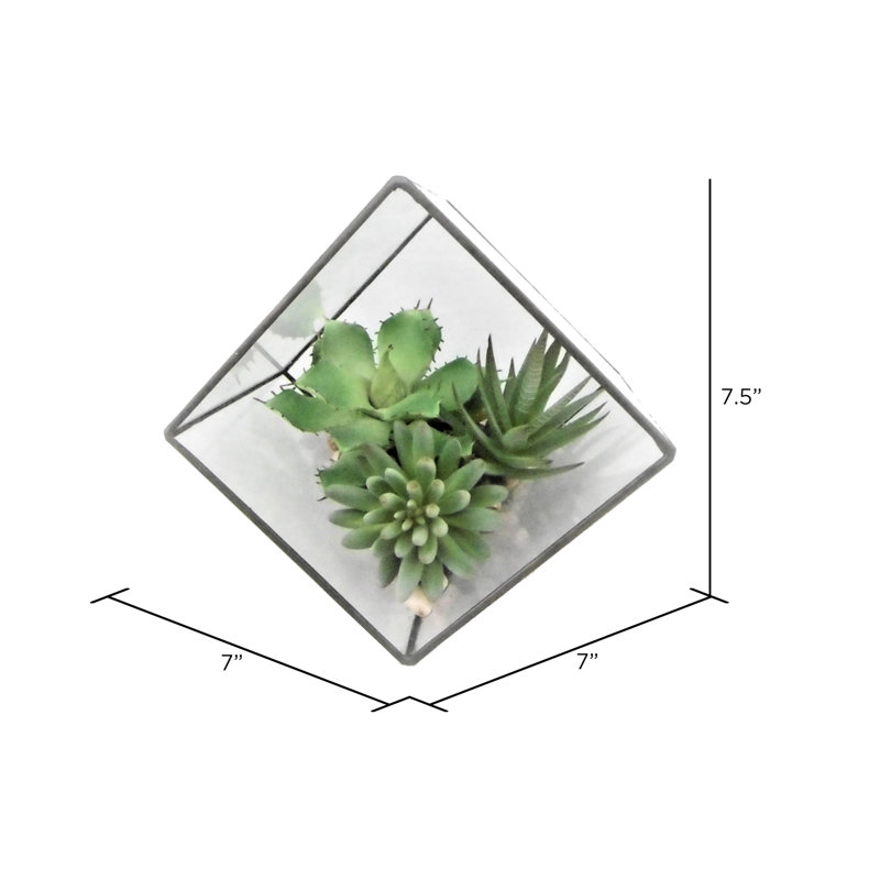 Artificial Succulent and Terrarium Arrangement, 7.5" H x 7" W x 7" D