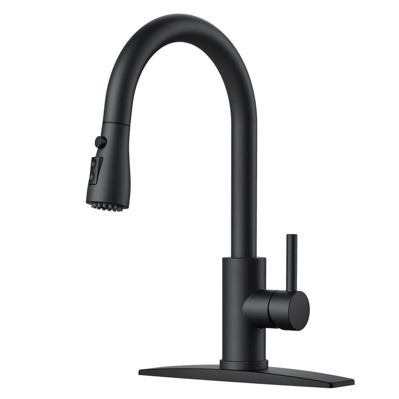 Black Kitchen Faucet with Pull Down Sprayer