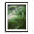 Black Framed Paper selected