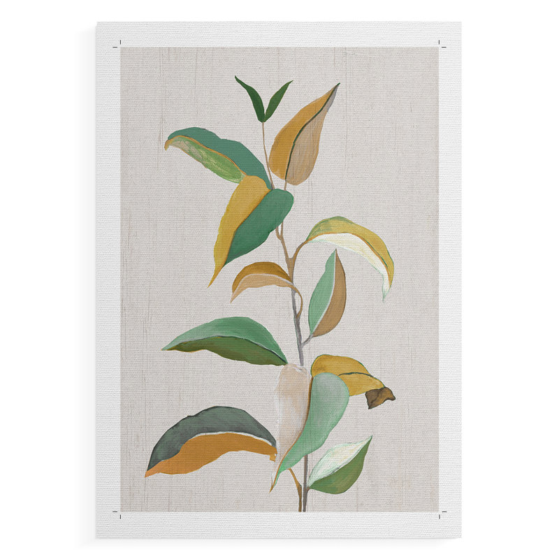 Touched with Sage I - Impression sur toile seulement - NON CADRE, H 12 po x l 8 po