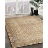 Oriental Indoor Rug