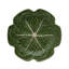 Set of 4 Cabbage Earthenware Dinner Plates
