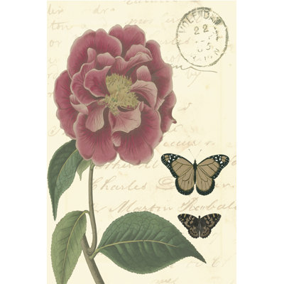Vintage Floral III by Vision Studio - Wrapped Canvas Art Prints