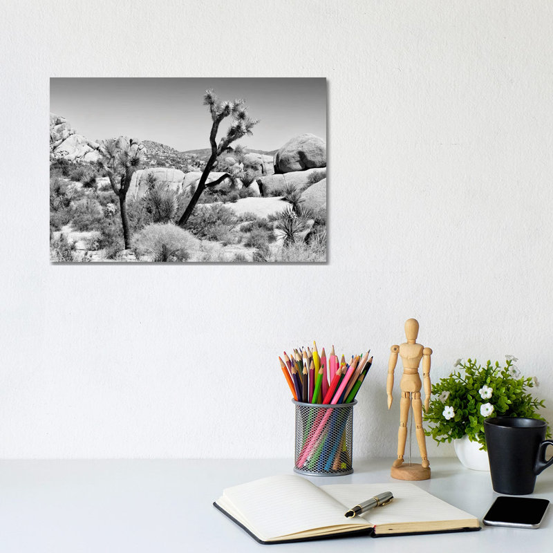 Joshua Tree National Park II by Philippe Hugonnard - Wrapped Canvas Print, 20.32 cm H x 30.48 cm W