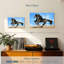 Cheval frison Brampt-108091968