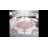 Barcus Oriental Red/Ivory Area Rug-836346541