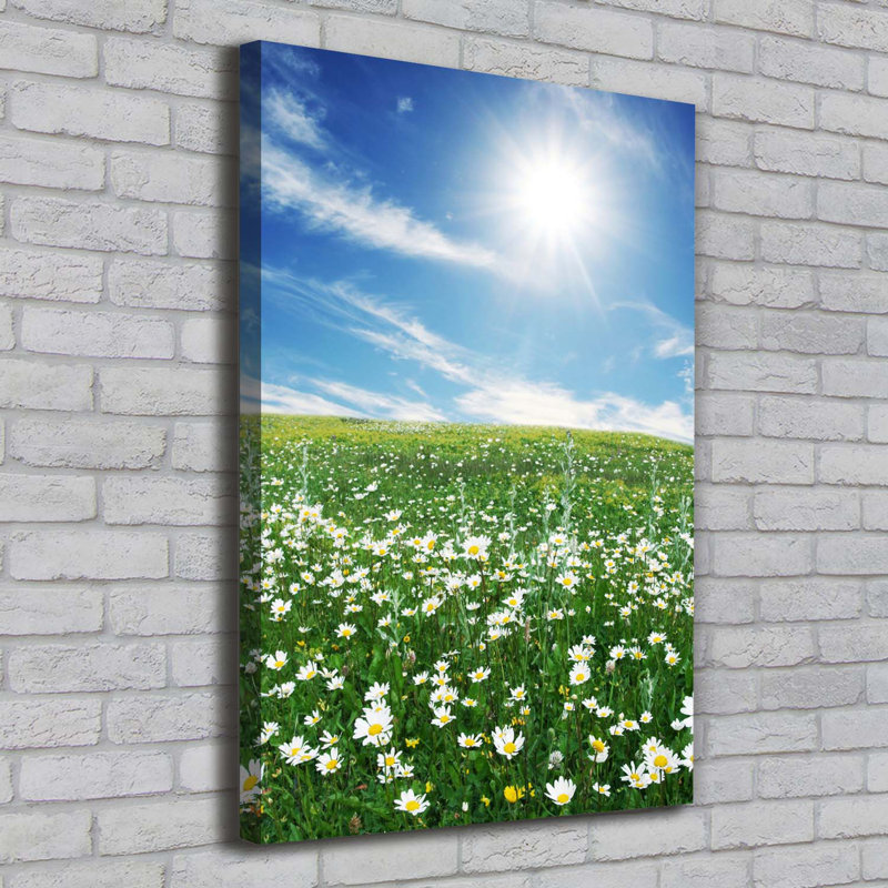 Meadow - Wrapped Canvas Print